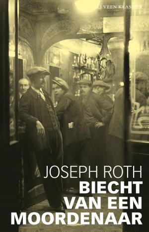 Cover of the book Biecht van een moordenaar by Jaap Seidell, Jutka Halberstadt