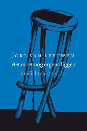 Cover of the book Het moet nog ergens liggen by Daan Remmerts de Vries