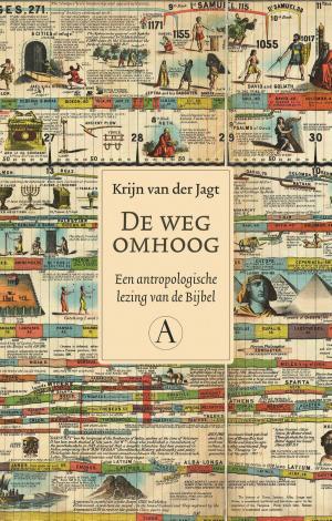 Cover of the book De weg omhoog by Frits Boterman