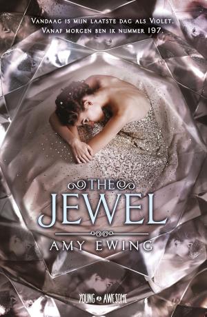 Cover of the book The jewel by Mirjam Oldenhave