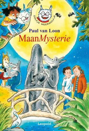 Cover of the book MaanMysterie by Gerard van Gemert