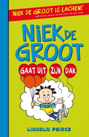 Book cover of Niek de Groot gaat uit zijn dak