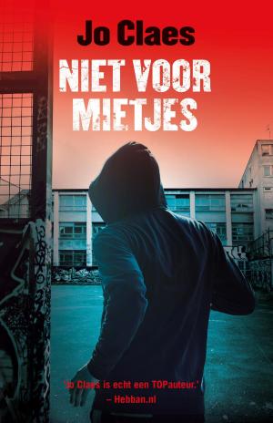 Cover of the book Niet voor mietjes by Ted Dekker