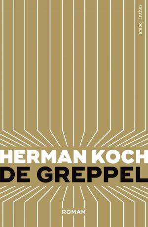 Book cover of De greppel