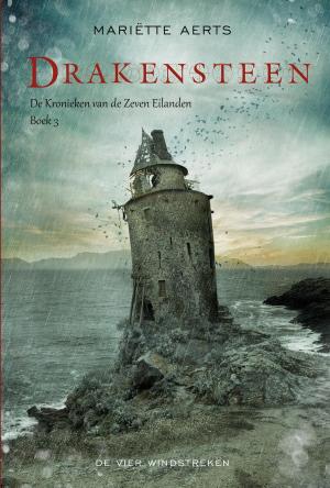 Cover of the book Drakensteen by Mariette Aerts