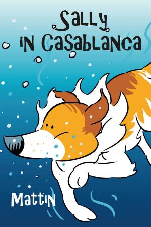 Cover of the book Sally In Casablanca by jon white
