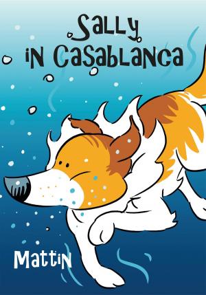 Cover of Sally in Casablanca
