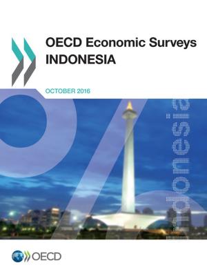 bigCover of the book OECD Economic Surveys: Indonesia 2016 by 