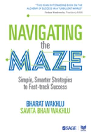 Cover of the book Navigating the Maze by Robert Weis