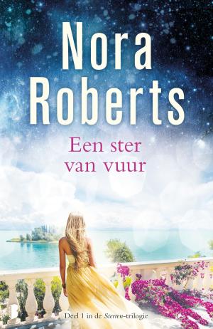 Cover of the book Een ster van vuur by Garth Nix