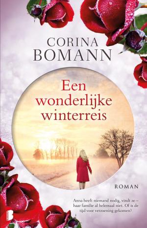 Cover of the book Een wonderlijke winterreis by Karl May