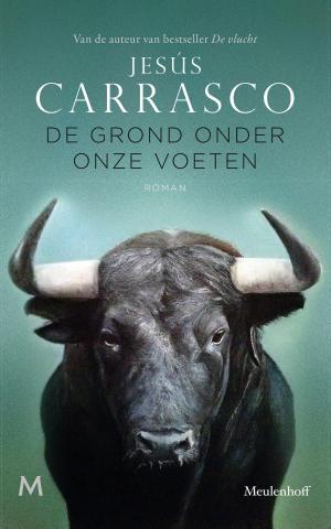 Cover of the book De grond onder onze voeten by Erika Johansen