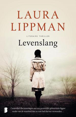 Cover of the book Levenslang by RC Patterson