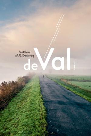 Cover of De val by Matthias M.R. Declercq, Standaard Uitgeverij - Algemeen