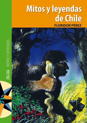 Cover of the book Mitos y leyendas de Chile by Anónimo