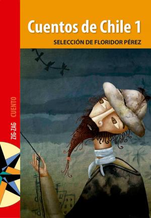 Cover of the book Cuentos de Chile 1 by Rubén Unda