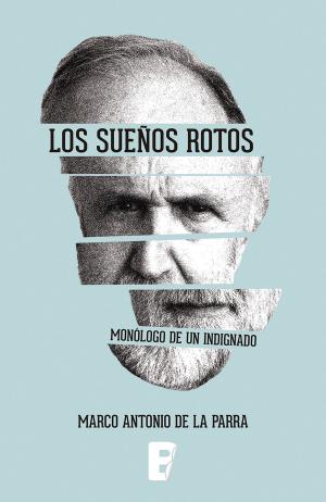 Cover of the book Sueños Rotos, Los. Monologo De Un Indignado by Carla Guelfenbein