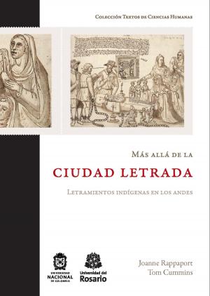 Cover of the book Más allá de la ciudad letrada by Erick Rincón Cárdenas, , Camilo Vergara