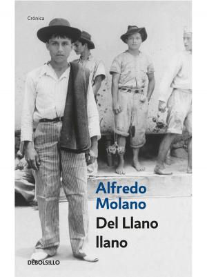 Cover of the book Del llano llano by Elizabeth Castillo