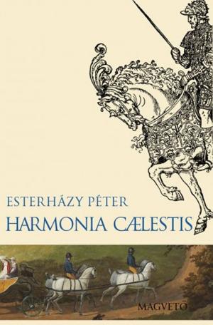 Cover of the book Harmonia caelestis by Rakovszky Zsuzsa