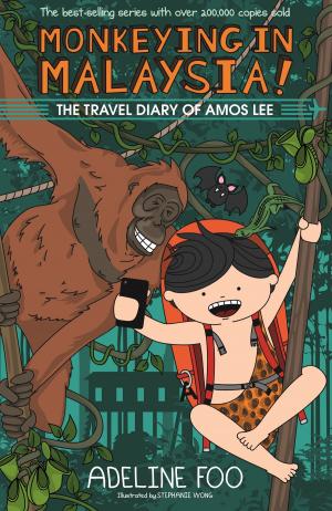 Cover of the book The Travel Diary of Amos Lee by Maranna Chan