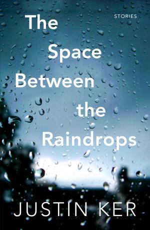 Cover of The Space Between the Raindrops