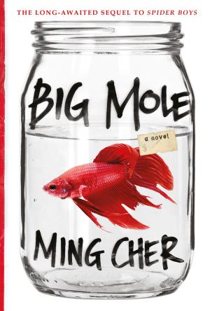 bigCover of the book Big Mole by 