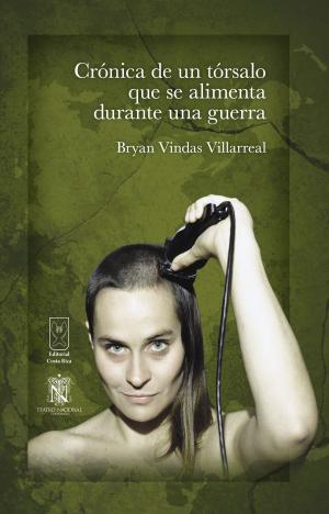 Cover of the book Crónica de un tórsalo que se alimenta en una guerra o cómo se prepara una sopa de papas by David Chavarría