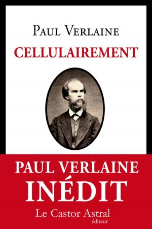 Book cover of Cellulairement