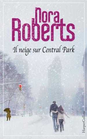 Book cover of Il neige sur Central Park