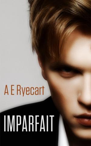 Cover of the book Imparfait by Erica Pike