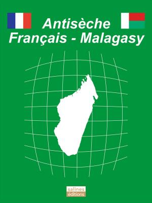 Cover of the book Antisèche français - malagasy by Adolphe Badin