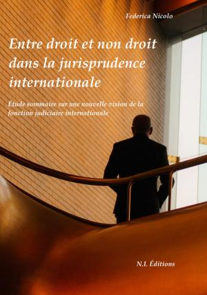 Cover of Entre droit et non droit dans la jurisprudence internationale