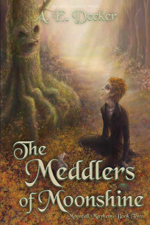 Cover of the book The Meddlers of Moonshine by A. E. Decker, World Weaver Press