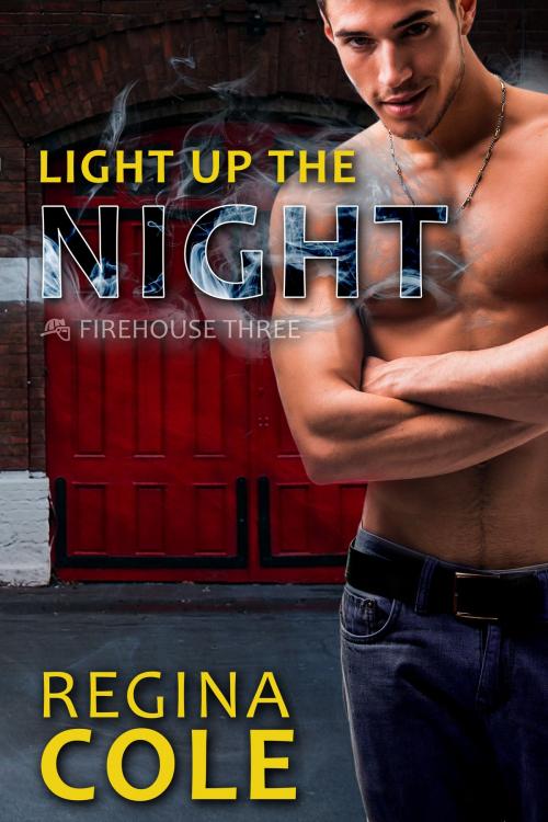 Cover of the book Light Up The Night by Regina Cole, Inked Press