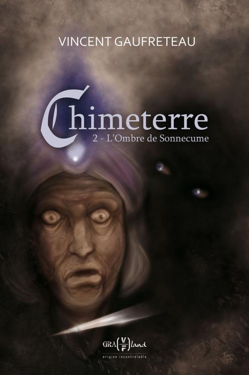 Cover of the book L'Ombre de Sonnecume by Vincent Gaufreteau, Vincent Gaufreteau
