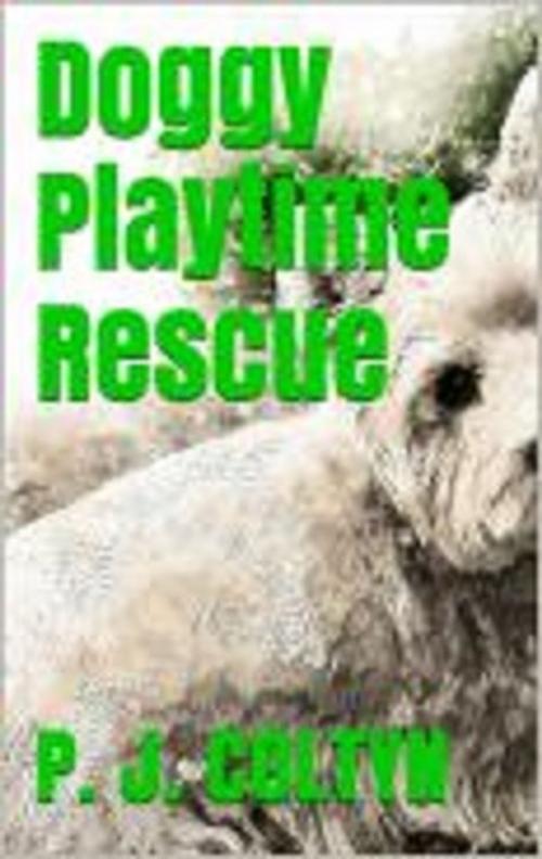 Cover of the book Doggy Playtime Rescue by P. J. Coltyn, Wild Colonial Press