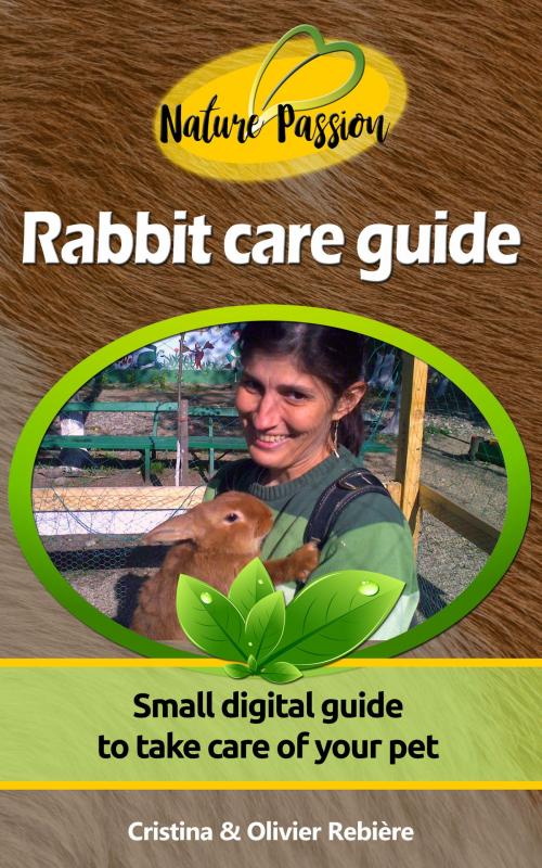 Cover of the book Rabbit care guide by Cristina Rebiere, Olivier Rebiere, Olivier Rebiere