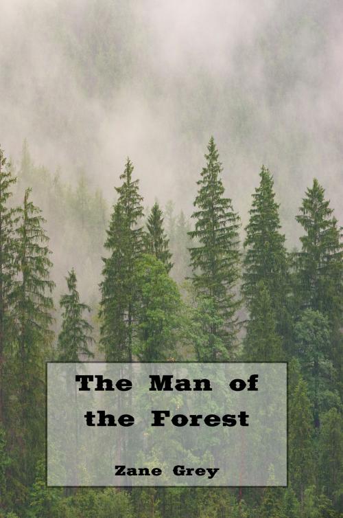 Cover of the book The Man of the Forest (Illustrated) by Zane Grey, Frank Tenny Johnson, Illustration, Reading Bear Publications