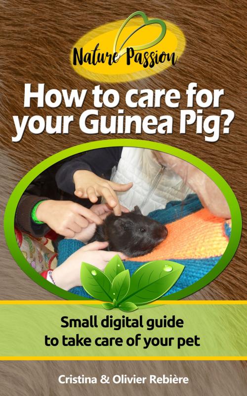 Cover of the book How to care for your Guinea Pig? by Cristina Rebiere, Olivier Rebiere, Olivier Rebiere