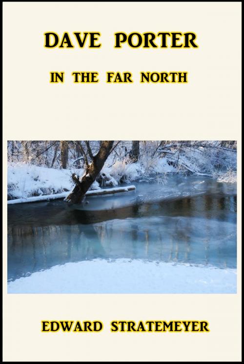 Cover of the book Dave Porter in the Far North by Edward Stratemeyer, Green Bird Press