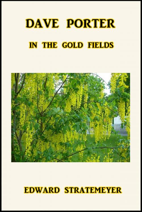 Cover of the book Dave Porter in the Gold Fields by Edward Stratemeyer, Green Bird Press