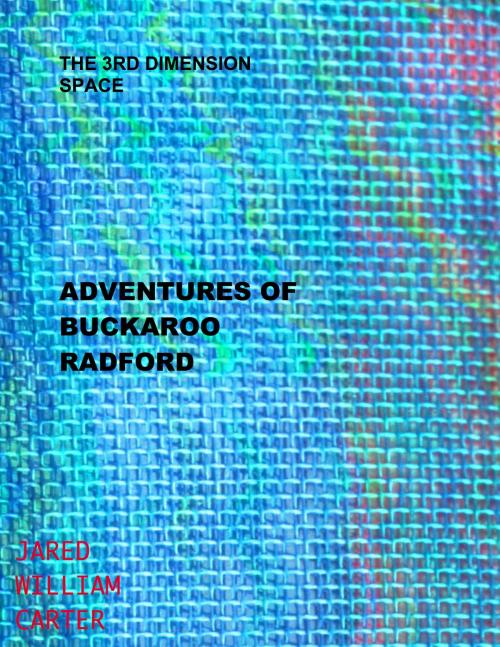 Cover of the book The 3rd Dimension Space Adventures of Buckaroo Radford by Jared William Carter, Jared William Carter