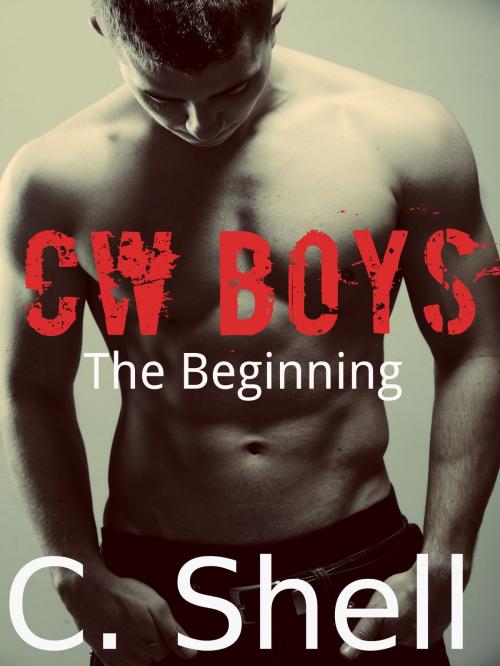 Cover of the book CW Boys: The Beginning by C. Shell, C.Shell