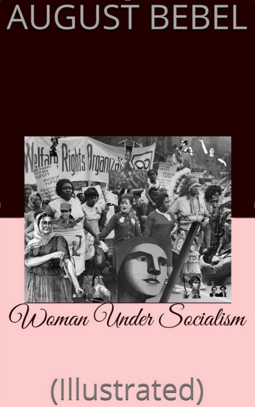Cover of the book Woman Under Socialism by August Bebel, Meta L. Stern (Hebe), New York : Socialist Literature Co., 1910.