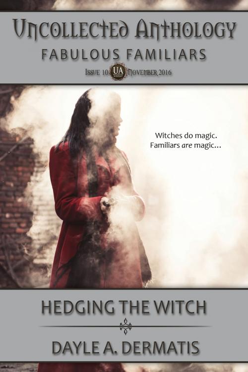 Cover of the book Hedging the Witch by Dayle A. Dermatis, Soul's Road Press