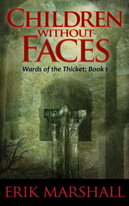Cover of the book Children Without Faces by Erik Marshall, Tangled Sky Press