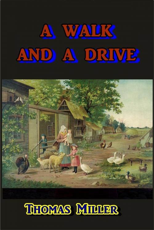 Cover of the book A Walk and a Drive by Thomas Miller, Green Bird Press