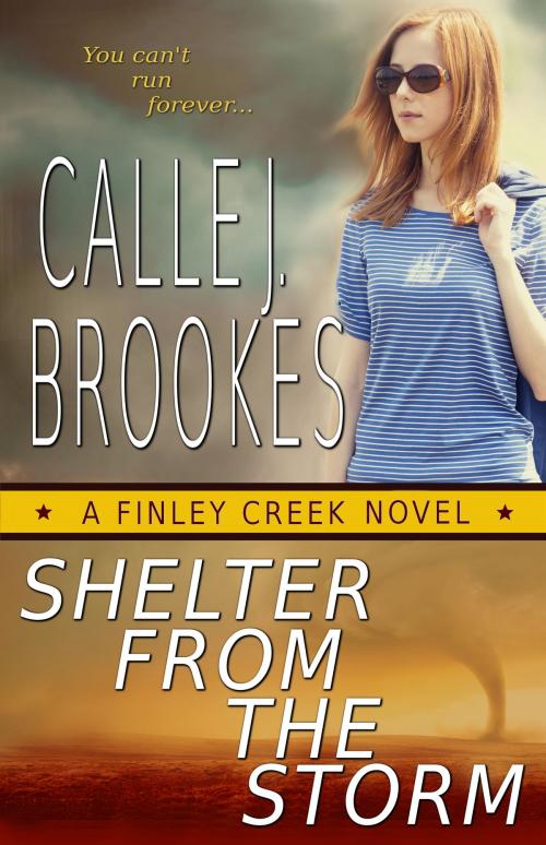Cover of the book Shelter from the Storm by Calle J. Brookes, Lost River Lit Publishing, L.L.C.
