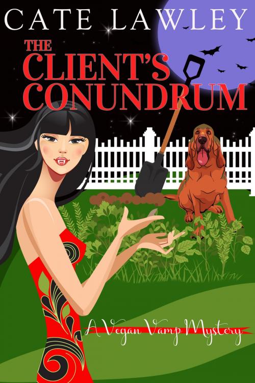 Cover of the book The Client's Conundrum by Cate Lawley, Cate Lawley